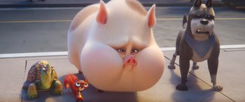 Movie still from “DC League of Super-Pets” (2022), directed by Jared Stern – An animated pig and a cat are standing next to each other; Extreme Close Up shot, High angle