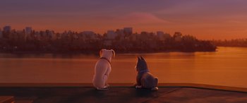 Movie still from “DC League of Super-Pets” (2022), directed by Jared Stern – Two dogs sitting next to a body of water at sunset; Wide shot, High angle