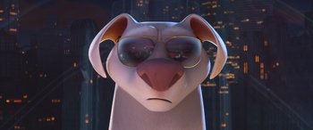 Movie still from “DC League of Super-Pets” (2022), directed by Jared Stern – A dog wearing sunglasses with a city in the background; Close Up shot, Over the shoulder angle