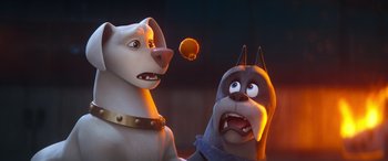 Movie still from “DC League of Super-Pets” (2022), directed by Jared Stern – Two animated dogs looking at each other in the dark; Close Up shot, Over the shoulder angle