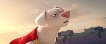 Movie still from “DC League of Super-Pets” (2022), directed by Jared Stern – A dog with a red shirt is looking at the sky; Close Up shot, Low angle