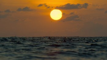 Movie still from “David Attenborough: A Life on Our Planet” (2020), directed by Jonathan Hughes – The sun is setting over a body of water; Extreme Wide shot, Low angle