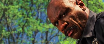 Movie still from “Dawn of the Dead” (2004), directed by Zack Snyder – A man's face with trees in the background; Close Up shot, Low angle