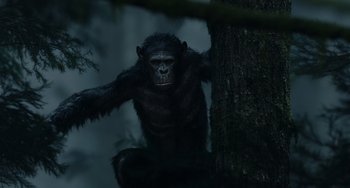 Movie still from “Dawn of the Planet of the Apes” (2014), directed by Matt Reeves – A monkey that is standing on a tree branch; Wide shot, Low angle