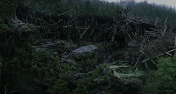 Movie still from “Dawn of the Planet of the Apes” (2014), directed by Matt Reeves – A forest filled with lots of trees next to a body of water; Extreme Wide shot, High angle