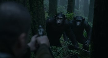 Movie still from “Dawn of the Planet of the Apes” (2014), directed by Matt Reeves – A group of chimpanzees in the woods with a man holding a gun; Medium shot, Low angle