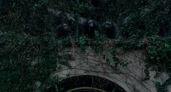 Movie still from “Dawn of the Planet of the Apes” (2014), directed by Matt Reeves – A group of three chimpanzees sitting on top of a building; Wide shot, Low angle