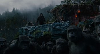 Movie still from “Dawn of the Planet of the Apes” (2014), directed by Matt Reeves – A group of apes gathered around a man in a forest; Wide shot, Low angle