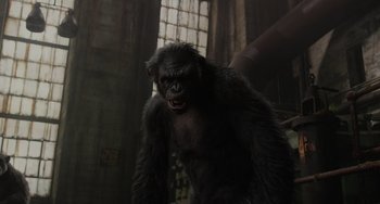 Movie still from “Dawn of the Planet of the Apes” (2014), directed by Matt Reeves – A gorilla that is standing in a room; Medium shot, Low angle