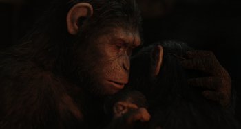 Movie still from “Dawn of the Planet of the Apes” (2014), directed by Matt Reeves – A chimpanzees face and head; Close Up shot, Low angle