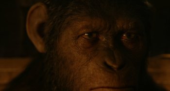 Movie still from “Dawn of the Planet of the Apes” (2014), directed by Matt Reeves – The face of an ape; Close Up shot, Low angle