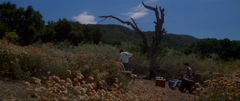 Movie still from “Donnie Darko” (2001), directed by Richard Kelly – A man standing next to a tree in the middle of a field; Extreme Wide shot, Low angle