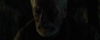 Movie still from “Don't Breathe 2” (2021), directed by Rodo Sayagues – An old man with a beard is looking at the camera; Close Up shot, High angle