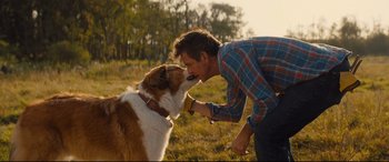 Movie still from “A Dog's Journey” (2019), directed by Gail Mancuso – A man and a dog playing with each other in a field; Medium shot, Over the shoulder angle