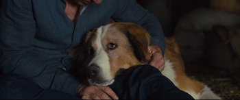 Movie still from “A Dog's Journey” (2019), directed by Gail Mancuso – A person holding a dog in their arms; Close Up shot, High angle