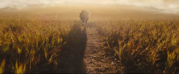 Movie still from “A Dog's Journey” (2019), directed by Gail Mancuso – A dog walking down a dirt path in a field; Wide shot, Low angle