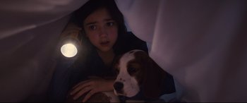 Movie still from “A Dog's Journey” (2019), directed by Gail Mancuso – A girl and a dog under a blanket with a flashlight; Close Up shot, High angle