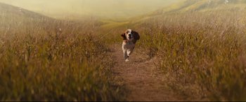 Movie still from “A Dog's Journey” (2019), directed by Gail Mancuso – A brown and white dog running on a dirt road; Wide shot, Low angle