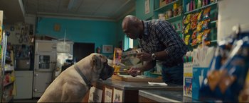Movie still from “A Dog's Journey” (2019), directed by Gail Mancuso – A man and a dog at the counter of a store; Medium shot, Over the shoulder angle