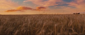 Movie still from “A Dog's Journey” (2019), directed by Gail Mancuso – A field of wheat is shown against a sunset sky; Extreme Wide shot, Low angle