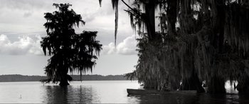 Movie still from “Emancipation” (2022), directed by Antoine Fuqua – A person in a boat on a lake near a tree; Extreme Wide shot, Low angle