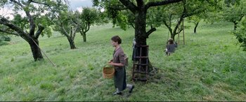 Movie still from “A Hidden Life” (2019), directed by Terrence Malick – A woman holding a basket walking in a field near a tree; Wide shot, High angle