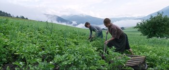 Movie still from “A Hidden Life” (2019), directed by Terrence Malick – Two people are working in a field of green plants; Wide shot, High angle