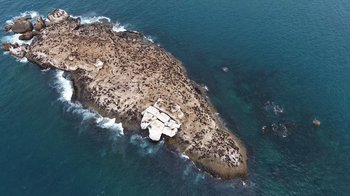 An aerial view of an island in the middle of the ocean