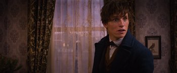 A man in a suit and bow tie in front of a window