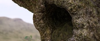 Movie still from “Fantastic Beasts: The Crimes of Grindelwald” (2018), directed by David Yates – View of a tree trunk with moss growing on it; Extreme Close Up shot, Low angle