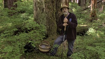 Movie still from “Fantastic Fungi” (2019), directed by Louie Schwartzberg – An older man sitting in front of a large tree; Wide shot, Low angle