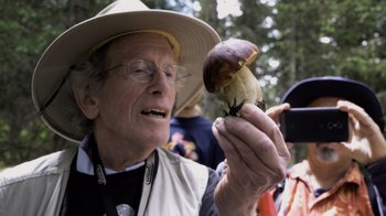 Movie still from “Fantastic Fungi” (2019), directed by Louie Schwartzberg – An older man holding a banana in his hand; Close Up shot, Over the shoulder angle