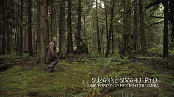 Movie still from “Fantastic Fungi” (2019), directed by Louie Schwartzberg – A person in a forest with a backpack; Extreme Wide shot, High angle