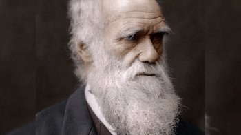 Movie still from “Fantastic Fungi” (2019), directed by Louie Schwartzberg – An old man with a long white beard; Close Up shot, High angle