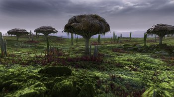 Movie still from “Fantastic Fungi” (2019), directed by Louie Schwartzberg – An image of an alien landscape with trees and plants; Extreme Wide shot, High angle