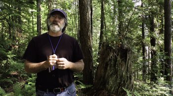 Movie still from “Fantastic Fungi” (2019), directed by Louie Schwartzberg – A man standing in the middle of a forest; Medium shot, Low angle