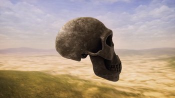 Movie still from “Fantastic Fungi” (2019), directed by Louie Schwartzberg – An image of a skull in the middle of the desert; Close Up shot, Low angle