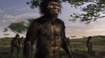 Movie still from “Fantastic Fungi” (2019), directed by Louie Schwartzberg – An image of a man that is standing in the grass; Medium shot, Low angle