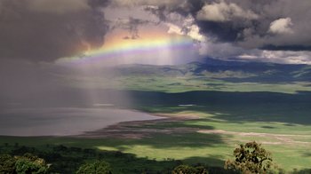 Movie still from “Fantastic Fungi” (2019), directed by Louie Schwartzberg – A rainbow is seen in the sky over a lake; Extreme Wide shot, High angle