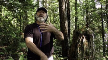 Movie still from “Fantastic Fungi” (2019), directed by Louie Schwartzberg – A man with a beard is standing in the woods; Medium shot, Low angle