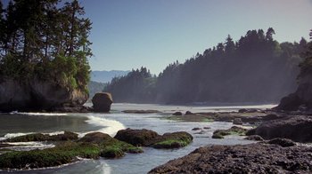 Movie still from “Fantastic Fungi” (2019), directed by Louie Schwartzberg – A body of water surrounded by trees and rocks; Extreme Wide shot, High angle