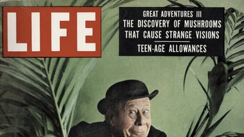 Movie still from “Fantastic Fungi” (2019), directed by Louie Schwartzberg – An older man wearing a hat and a suit; Extreme Close Up shot, Overhead angle