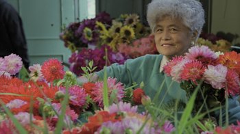 Movie still from “Fantastic Fungi” (2019), directed by Louie Schwartzberg – An older woman sitting in front of a bunch of flowers; Medium shot, Low angle