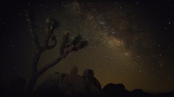 Movie still from “Fantastic Fungi” (2019), directed by Louie Schwartzberg – The night sky is lit up by the stars and the milky way; Extreme Wide shot, Low angle