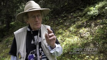 Movie still from “Fantastic Fungi” (2019), directed by Louie Schwartzberg – An older man wearing a hat is holding a camera; Medium shot, High angle