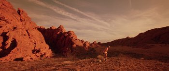 Movie still from “Fear and Loathing in Las Vegas” (1998), directed by Terry Gilliam – A person is standing in the middle of the desert; Extreme Wide shot, Low angle