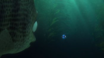 Movie still from “Finding Dory” (2016), directed by Angus MacLane – A large fish swimming in a body of green water; Close Up shot, Over the shoulder angle