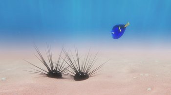 Movie still from “Finding Dory” (2016), directed by Angus MacLane – A blue fish swimming next to two sea urchins on the sand; Wide shot, Overhead angle