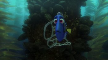 Movie still from “Finding Dory” (2016), directed by Angus MacLane – A blue fish is swimming through the water; Close Up shot, Overhead angle