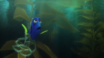 Movie still from “Finding Dory” (2016), directed by Angus MacLane – A blue fish swimming in a body of water; Medium shot, High angle